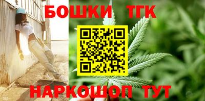 амф Можга