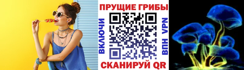 Галлюциногенные грибы Cubensis  мега как зайти  Таганрог  наркошоп 